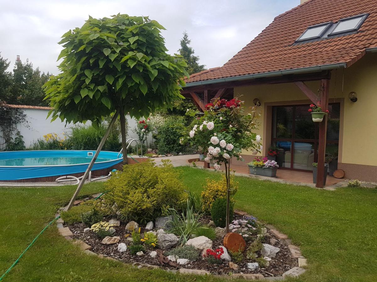 Ubytování U Špačků Pálava Novosedly  Exterior foto